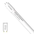 Noxion LED Röhre T8 Avant (EM/Mains) Standard Output 15W 1800lm - 830 Warmweiß | 120cm - Ersatz Für 36W